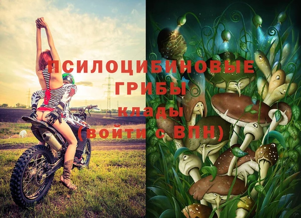 СК Янаул
